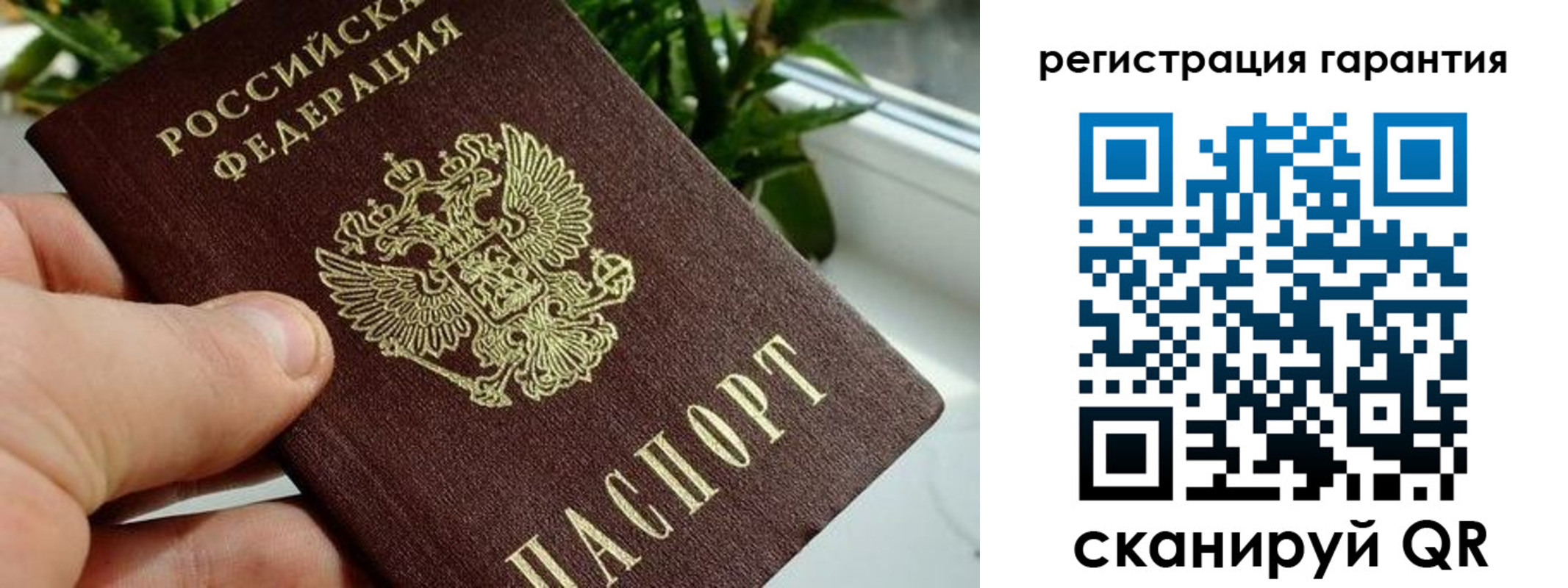 временная регистрация надежно в Заинске